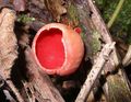 Miniatura wersji z 10:09, 15 mar 2015