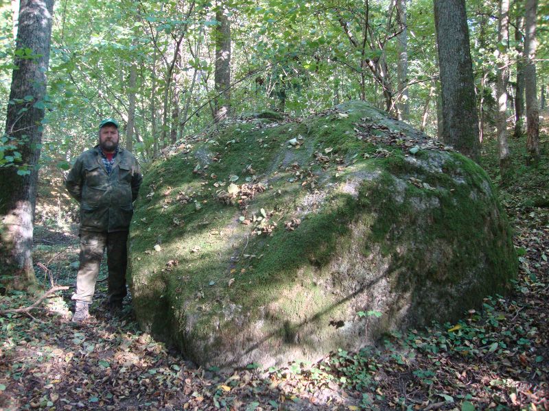 Plik:Głaz Sarniki.jpg