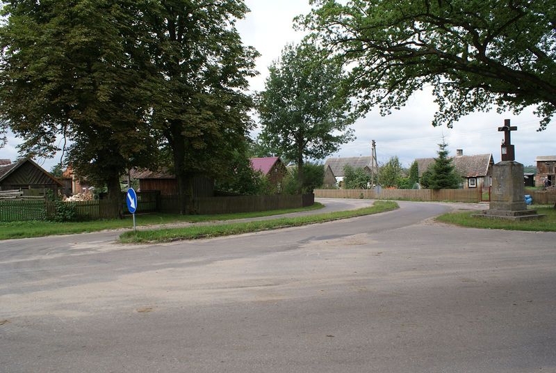 Plik:Klon.jpg