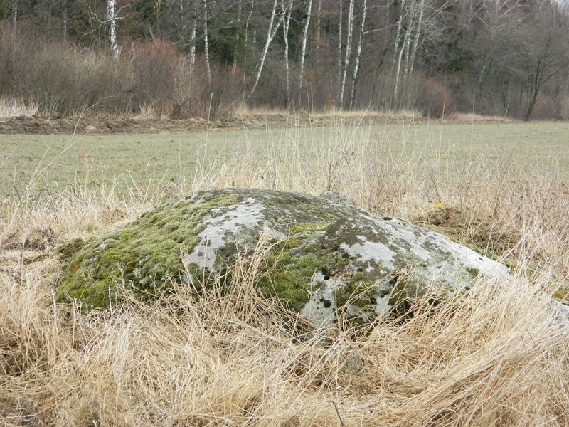 Plik:Ruska1.jpg