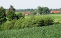 Miniatura wersji z 21:14, 24 sty 2015
