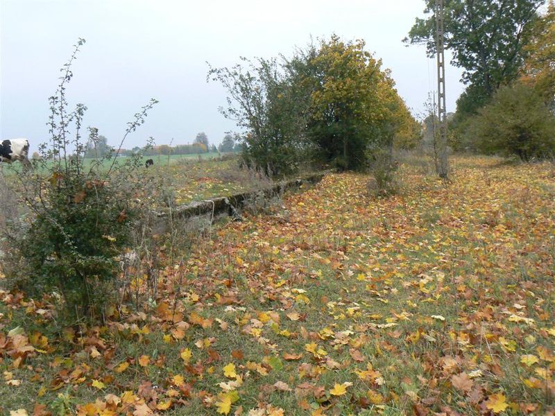 Plik:Brzezno Mazurskie.jpg