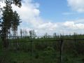 Miniatura wersji z 13:55, 31 sty 2015