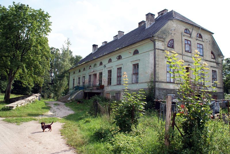 Plik:Dwor rybno.jpg