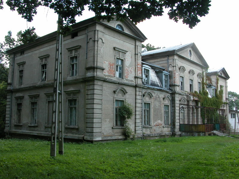 Plik:Pałac w Jankowie.jpg